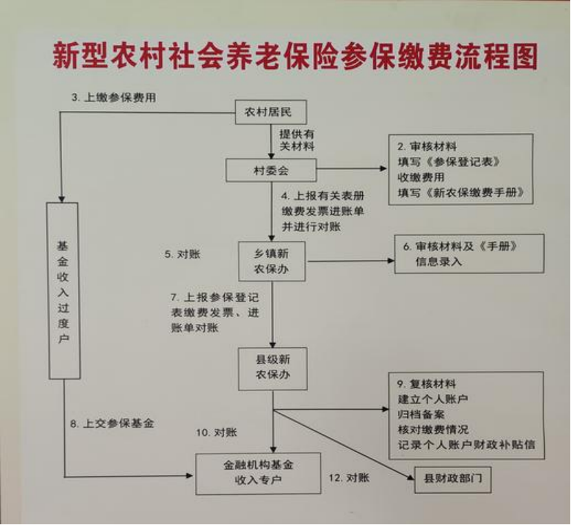长治农村医保和社保有什么区别(农村医保跟社保的区别)